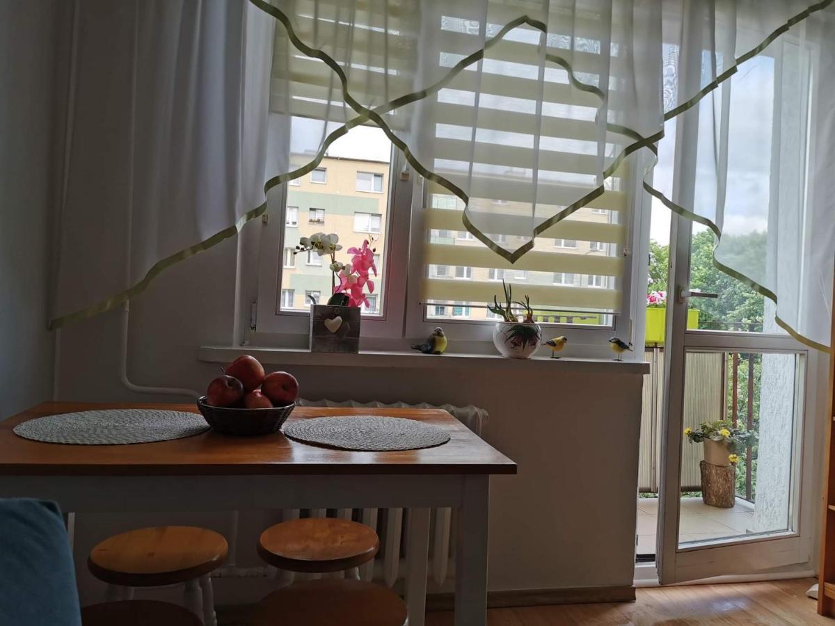 Mieszkanie Brzezno Przy Plazy Gdansk Dış mekan fotoğraf