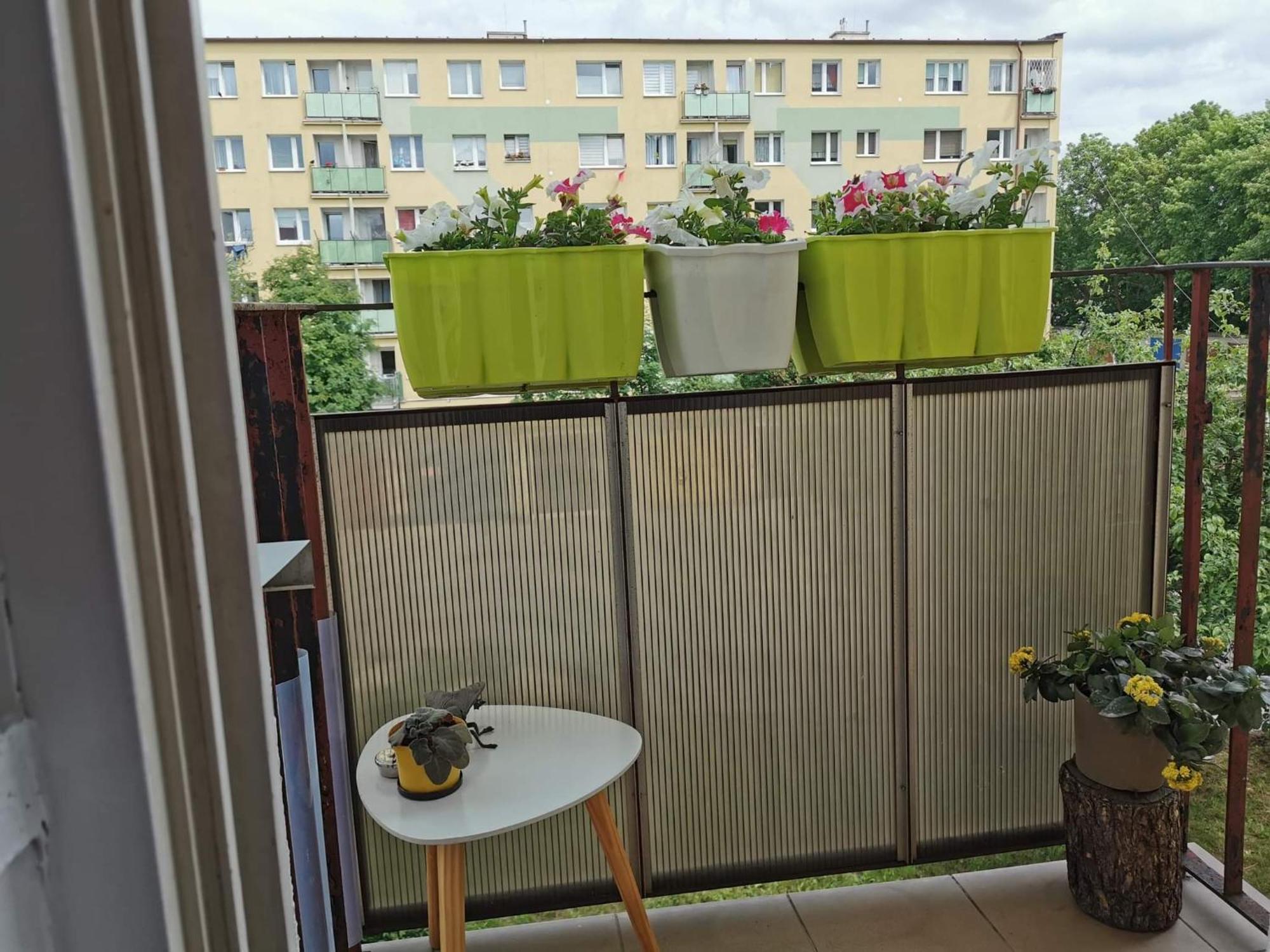 Mieszkanie Brzezno Przy Plazy Gdansk Dış mekan fotoğraf
