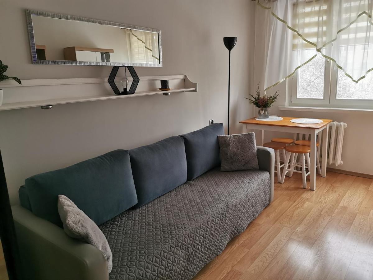 Mieszkanie Brzezno Przy Plazy Gdansk Dış mekan fotoğraf