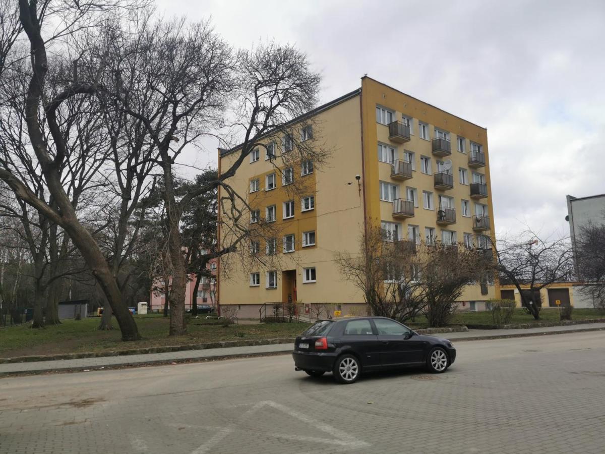 Mieszkanie Brzezno Przy Plazy Gdansk Dış mekan fotoğraf
