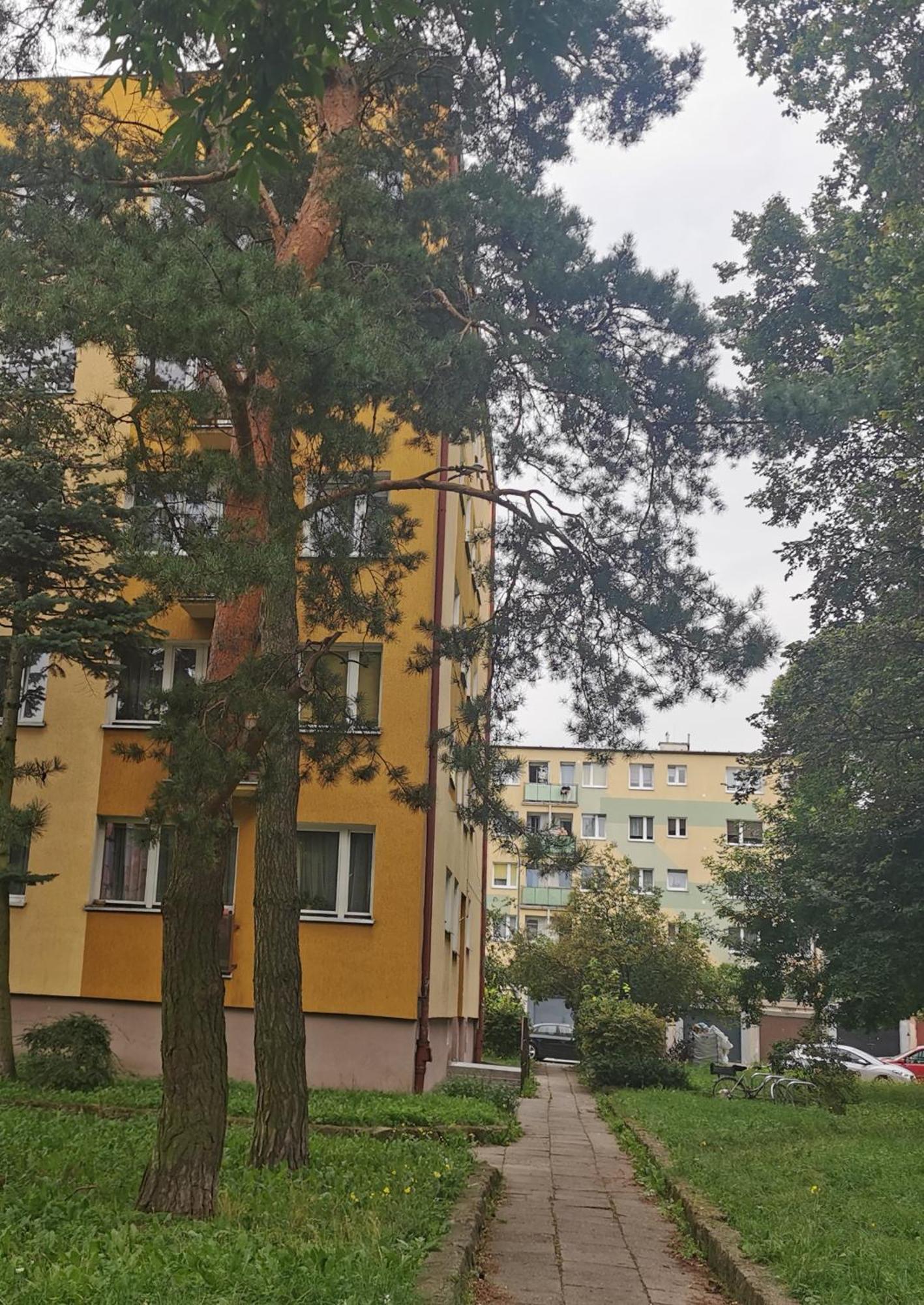 Mieszkanie Brzezno Przy Plazy Gdansk Dış mekan fotoğraf
